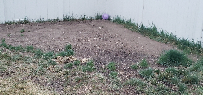 20220501_064710