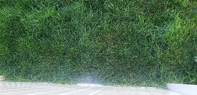20220811_082728